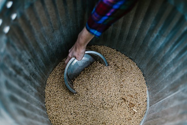 Animal Feed