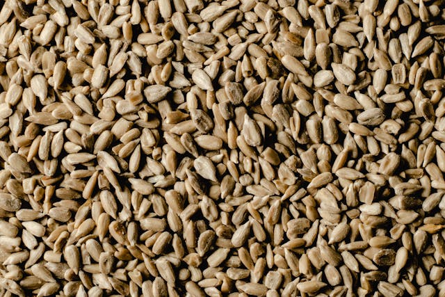 Oilseeds